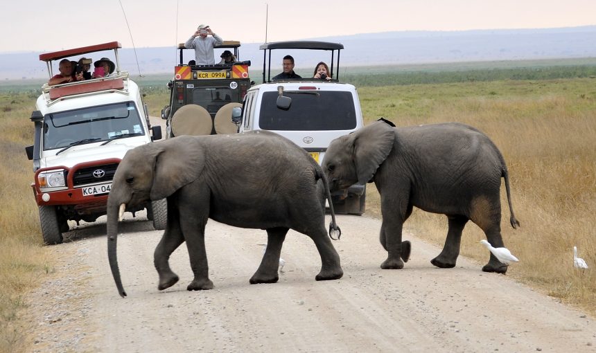 Amboseli National Park