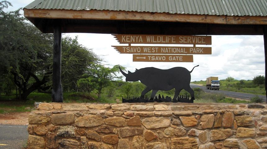 TSAVO WEST NATIONAL PARK/ SALT LICK