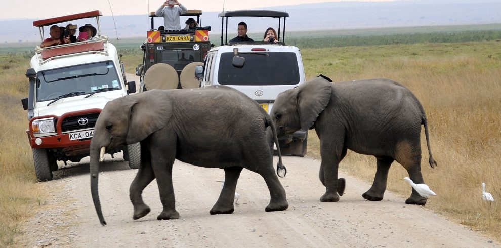 Activities-to-do-in-Amboseli-National-Park