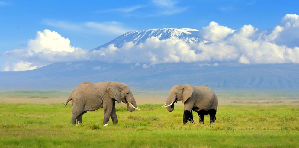 Amboseli-National-Park-1-1