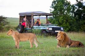 Best Safaris in Kenya Tonyto Adventures